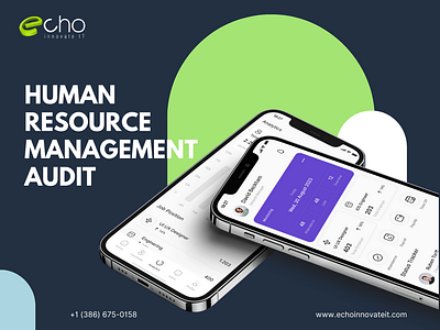 Human Resource Management Audit animation graphic design ui