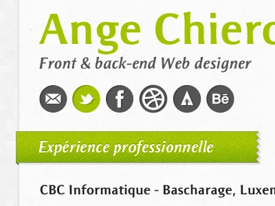 Resumé free download gray green resume ribbon