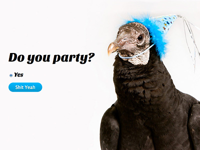 Do you party? party vulture