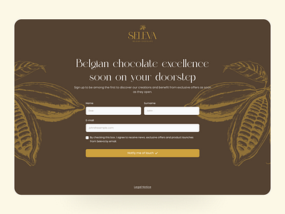 Waiting Screen Design Concept chocolate landing page landing page design log in onboarding sign up ui uiux ux waiting screen webdesign website design welcome screen