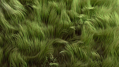 Grassy Plants 3d animation grass houdini motion motion graphics simulation