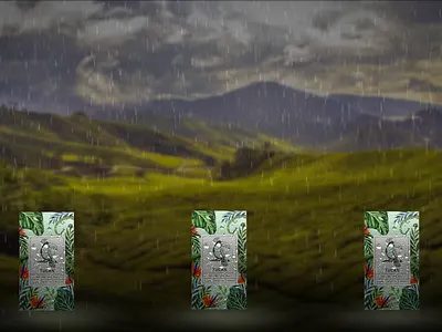 short commercial animation branding graphic design