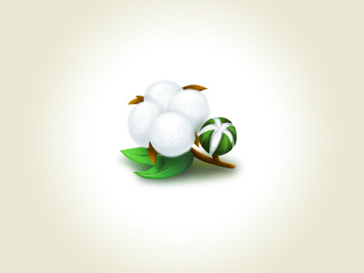 Cotton cotton flower fruit icon vegetable