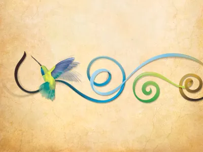Hummingbird illustration colorful header hummingbird illustration