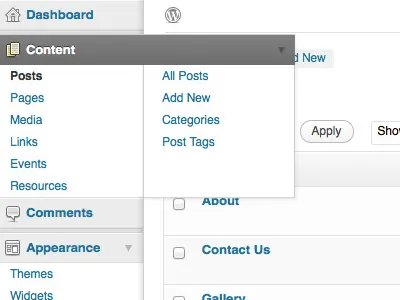 WordPress UI Revision - Handling Content Types ui web wordpress