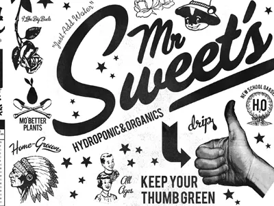 Mrsweet illustration print