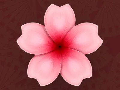 Sakura blossom cherry sakura wip