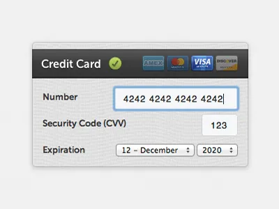 Plastic Feel credit card css3 form skeuomorphic