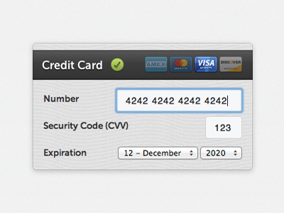 Plastic Feel credit card css3 form skeuomorphic