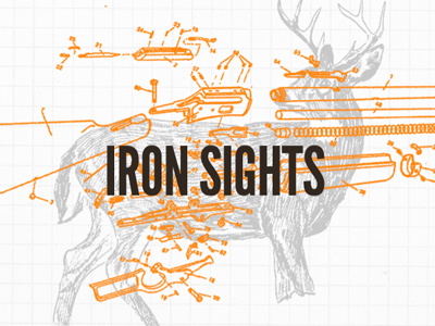 Iron Sights