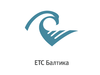 Logotype eagle logotype wave