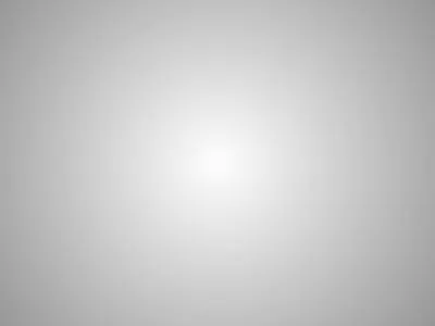 logo/intro animate animation branding graphic design logo