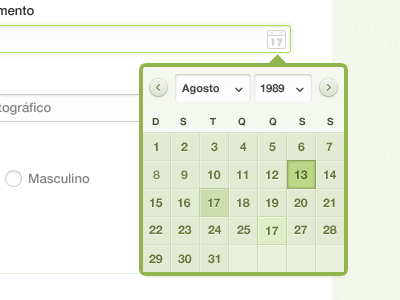 Date Picker calendar date picker