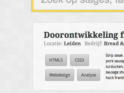 Html5 Css3 Search css3 html5 interface search