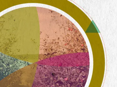 Apples and oranges apples circle overlay triangle