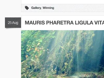 Dribbble Shot blog image post wordpress