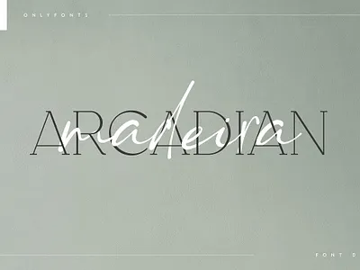 Arcadian & Moderna - modern font duo creative custom display duo handwritten font italic lettering logo font love font multilingual organic script serif sign signature typeface wedding