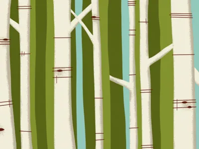 Trees aspen blue green spring trees