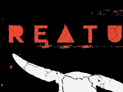 Album Covers album cover grunge typography