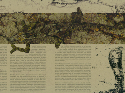 Hidden Editorial Spread 2/3