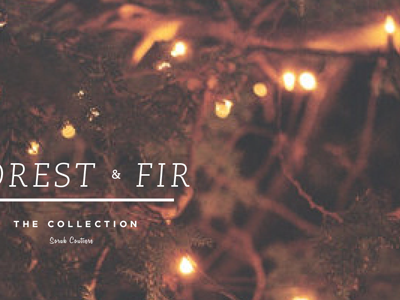 Forest & Fir Promotional handmade mailer promotional snow