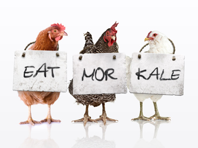 EAT MOR KALE chick fil a chickens eat kale mor more sign vegan