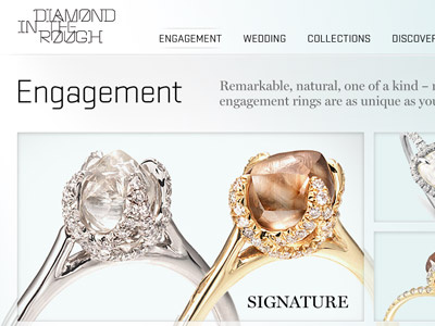 Diamond in the Rough landing page light effects web design