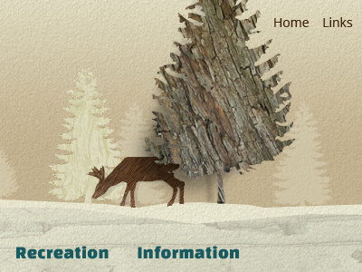 The Real North concept design elegant seagulls texture tree web website