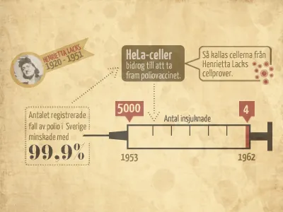 Mini infographic illustration infographic needle