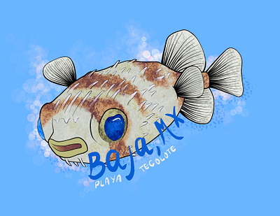 Puffer Fish—Procreate baja baja mexico drawing fish illustration mexico procreate puffer puffer fish