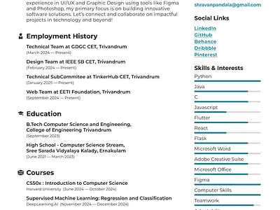 Professional Resume Template cv design figma graphic design resume