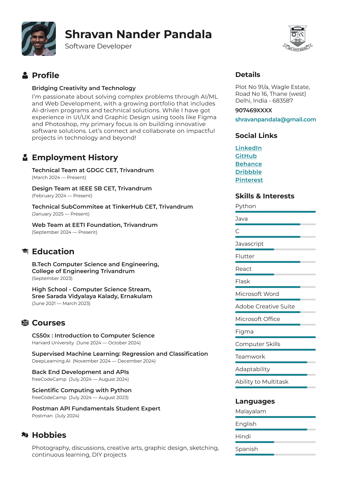 Example of Professional Resume Design And Writing