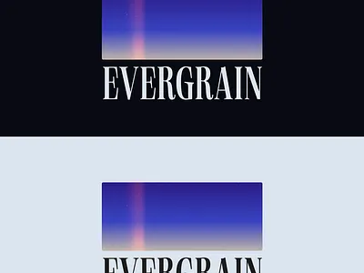 Evergrain - 35mm film company concept 35mm animation branding concept film gradient ui webdesign