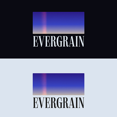 Evergrain - 35mm film company concept 35mm animation branding concept film gradient ui webdesign