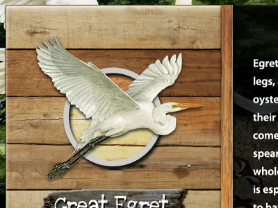 Pop-up Window design ui