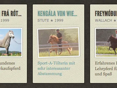 Horse data modeling horses league gothic textures typography website