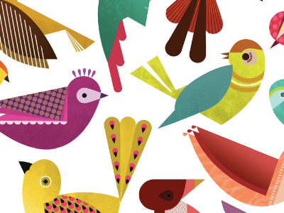 BIRDS birds cute design illustration poster
