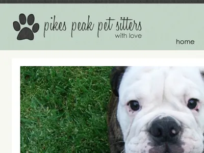 Home home navigation pet sitting pets texture