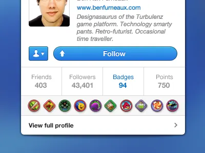 Expanded User Card (Badges) badges card user