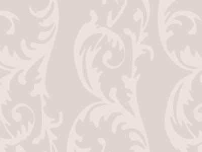 Parisian Flair background pattern branding damask parisian pattern vintage wallpaper website