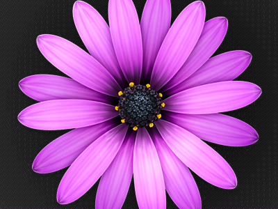 Textmate 2 african daisy flower icon illustration textmate