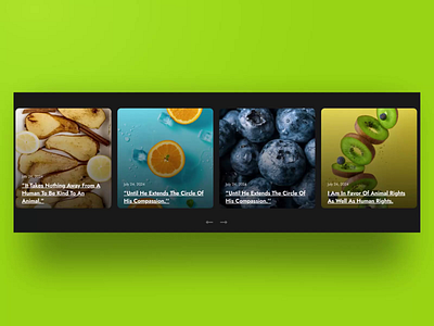 Diet Blog Carousel Template wordpress