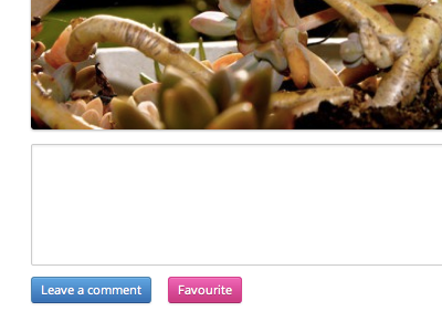 Photo Comments button comments css openphoto photo