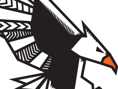 Eagle animal brainstorm eagle vector