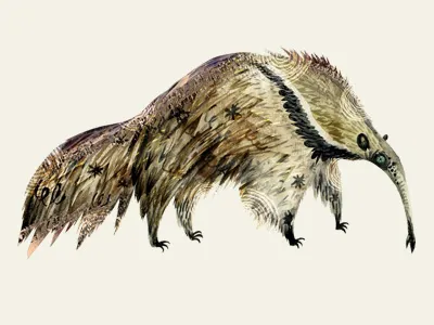Anteater animal ant anteater cerriteno detail eater illustration stylized texture