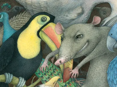 among stuffed birds bird book colours drawing illustration pencil rat texture