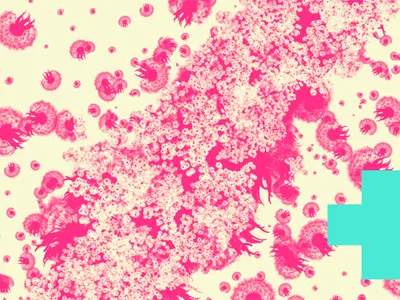 Flowers color flowers pink simple