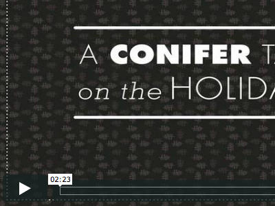 Holiday Video! chicago christmas holidays video