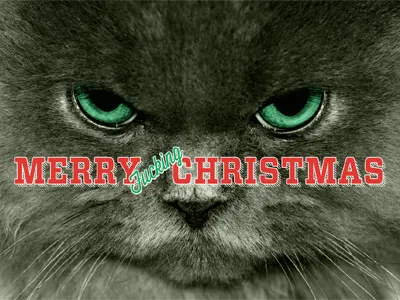 Merry Christmas cat christmas