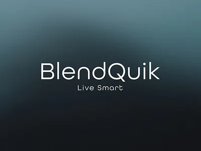 BlendQuik Logo Design brand design brand identity branding design identity illustration logo logo design product design ui